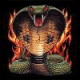 Red_Eyed_Cobra